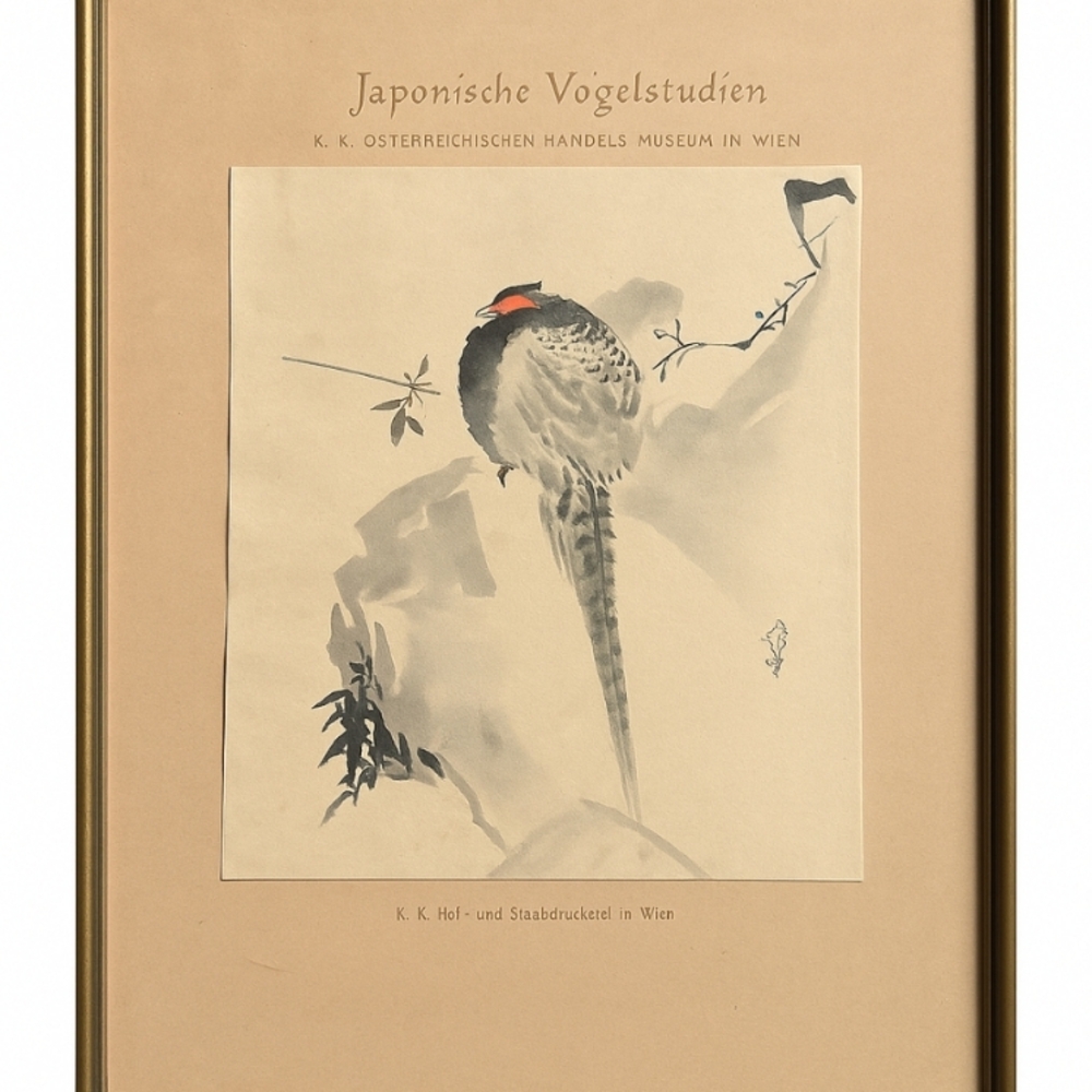 🌸 "Japanische Vogelstudien" Vintage Bird Print – K.K. Österreichischen Handels-